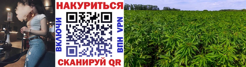 сколько стоит  площадка клад  Каннабис Amnesia  Лахденпохья 